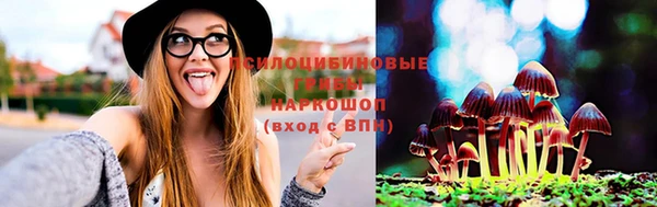 соль ск Володарск