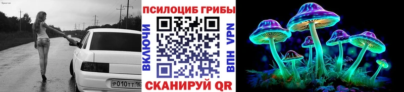 цены   Чекалин  Псилоцибиновые грибы Psilocybe 